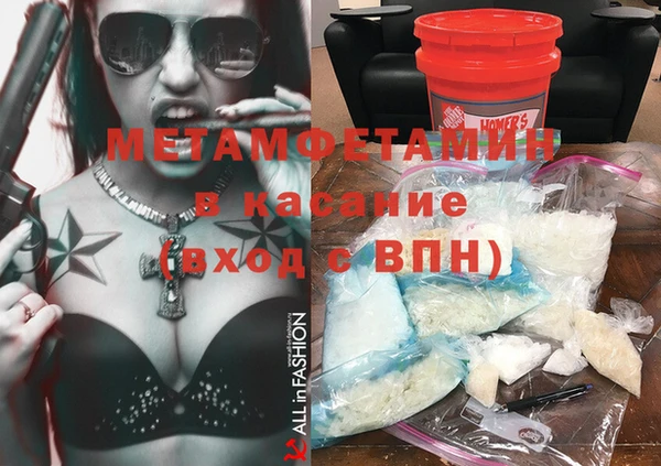 шишки Няндома